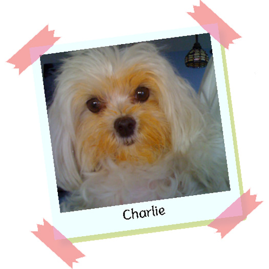 Charlie