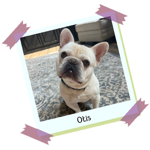 Otis